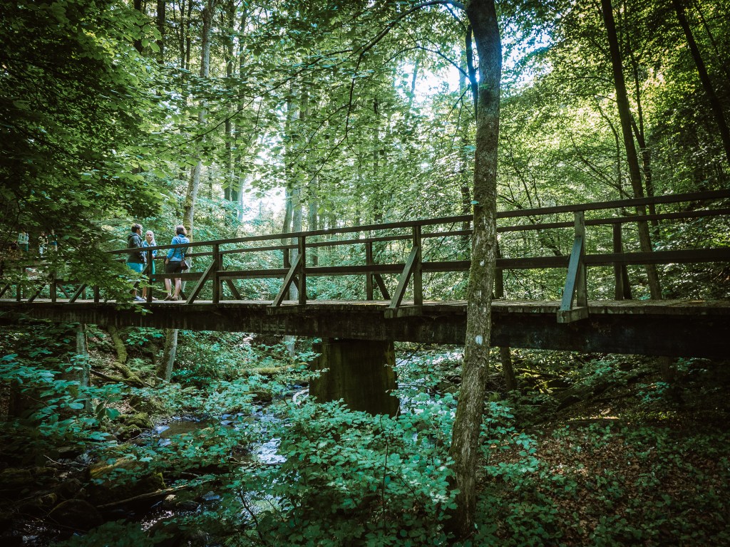 Holzbachschlucht