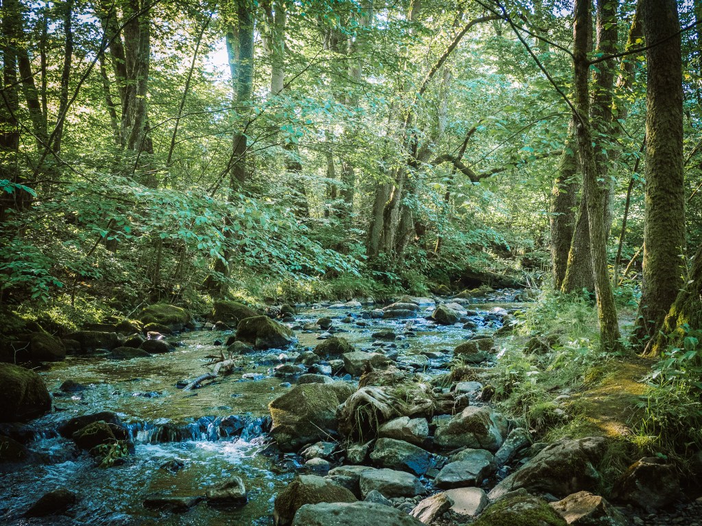 Holzbachschlucht River